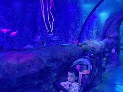 -沈阳海洋探索中心