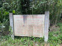 -海南热带雨林国家公园吊罗山景区