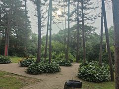 -萨尔浒风景区