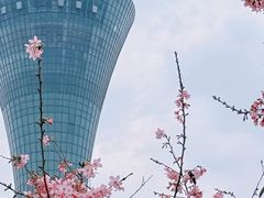 -狐尾山公园