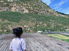-宁波九龙湖开元度假村