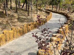 -白水寺森林公园