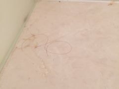 -南京圣和府邸豪华精选酒店