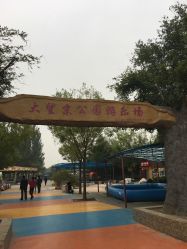 -大望京儿童游乐场