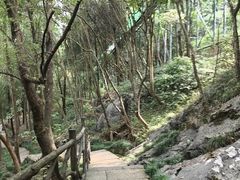 -灵栖洞天