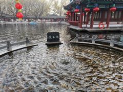 -百脉泉景区