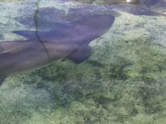 -鸿通城购物中心