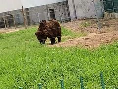 -秦皇岛野生动物园