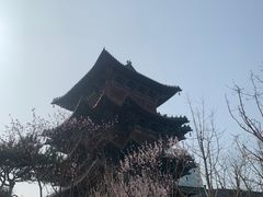 -迎泽公园