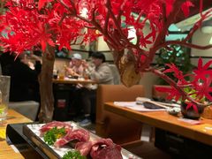 M9和牛枫叶盛和-赤坂亭M9和牛烧肉(世博源店)