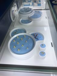 -潮宏基珠宝旗舰店(苏宁广场店)
