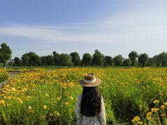 -汉长安城未央宫国家考古遗址公园
