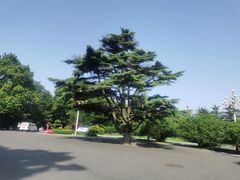 -棒棰岛宾馆景区
