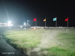 -胖大嫂渔家排档(半边山店)