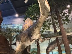 -湖南省地质博物馆