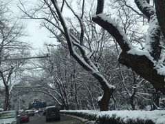 -钟山体育运动公园