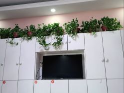 -香薇妮丝·定制减肥·身材管理