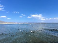 -大理洱海