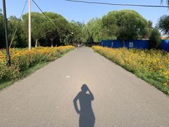 -永定河休闲森林公园