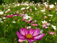 -长兴太湖图影湿地文化园