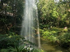 -绿光森林餐厅