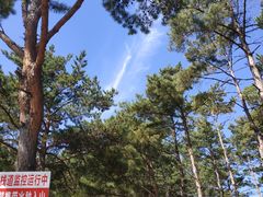 -帽儿山国家森林公园