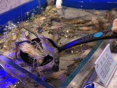 -澜悦港海鲜体验主题餐厅