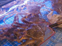 -驻海渔市(置信店)