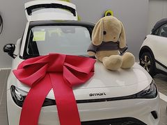 -上海浦东smart汽车全功能店(金桥店)