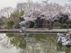 -广富林郊野公园