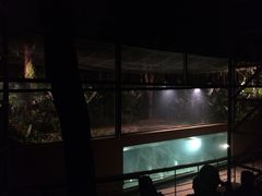 -清迈夜间动物园