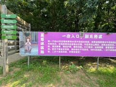 -金石滩蓝莓谷庄园