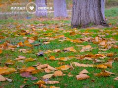 -元大都城垣遗址公园