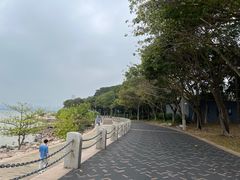 -深圳湾公园(南山区)