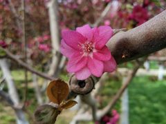 -元大都城垣遗址公园