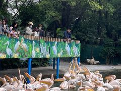 -广州长隆飞鸟乐园