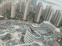 -柴犬小屋·柴餐厅·狗咖食堂(金鼎广场店)