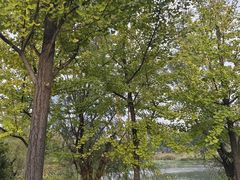 -艾溪湖湿地公园