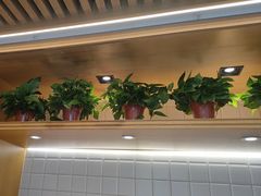 -阿源鱼捞斑鱼火锅·海鲜粥(山景尚宅店)