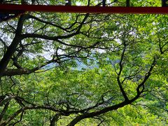 -妙峰山风景名胜区