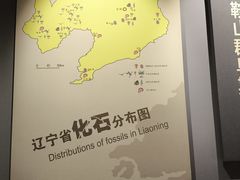 -辽宁古生物博物馆