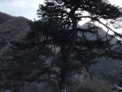-秦岭终南山世界地质公园翠华山景区