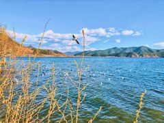 -丽江泸沽湖景区