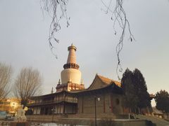 -张掖大佛寺景区