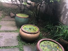 -院子餐厅·大锅菜·老杭帮(桥西直街店)