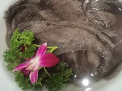 -凤来栖·净庭院·火锅(欧尚店)