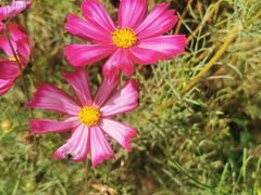 -野鸭湖国家湿地公园