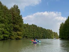 -上海海湾国家森林公园