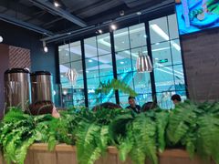 -避风塘(宝山万达店)