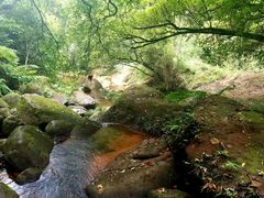 -赤水丹霞旅游区·佛光岩